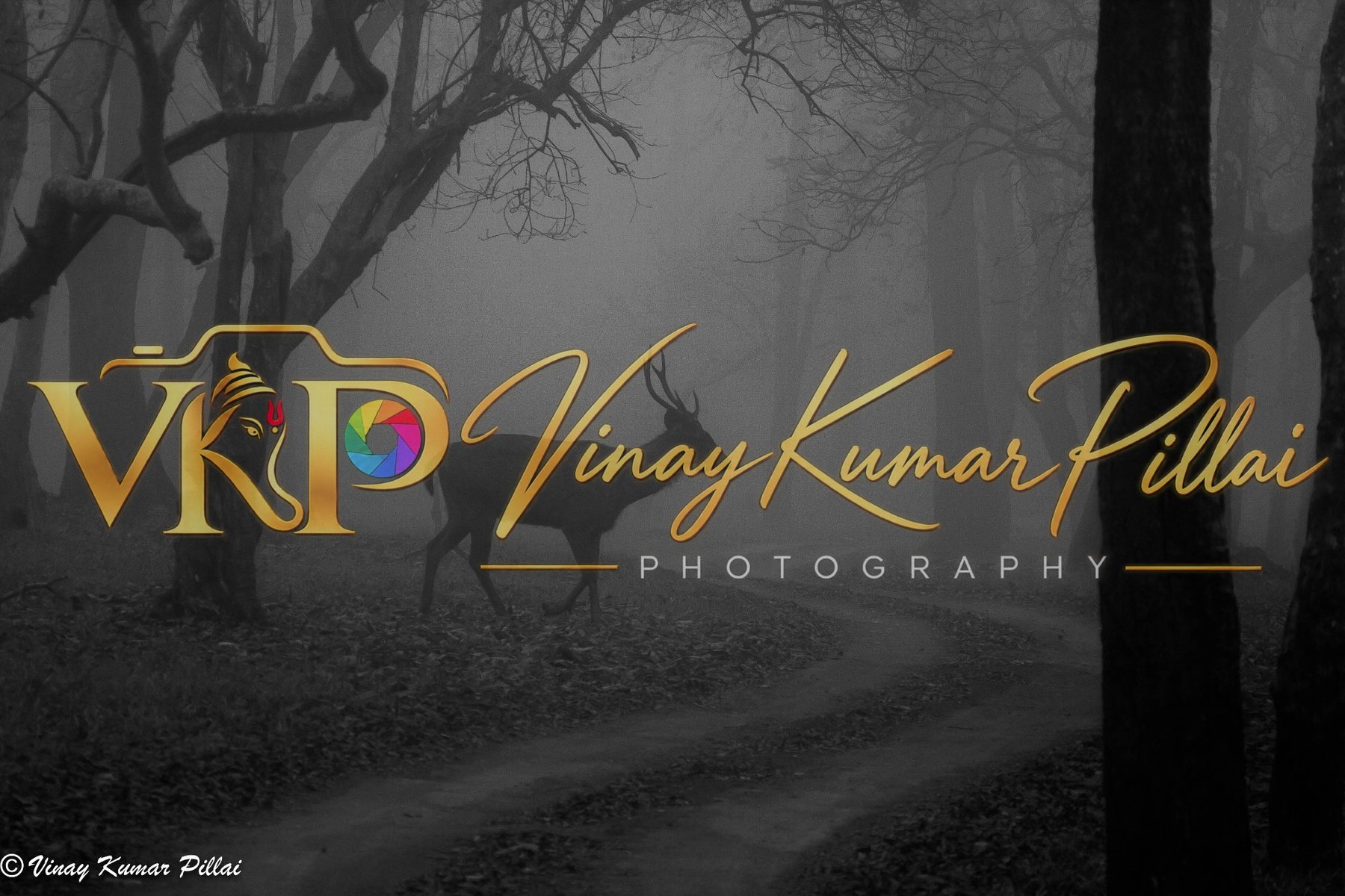 Monochrome gallery cover